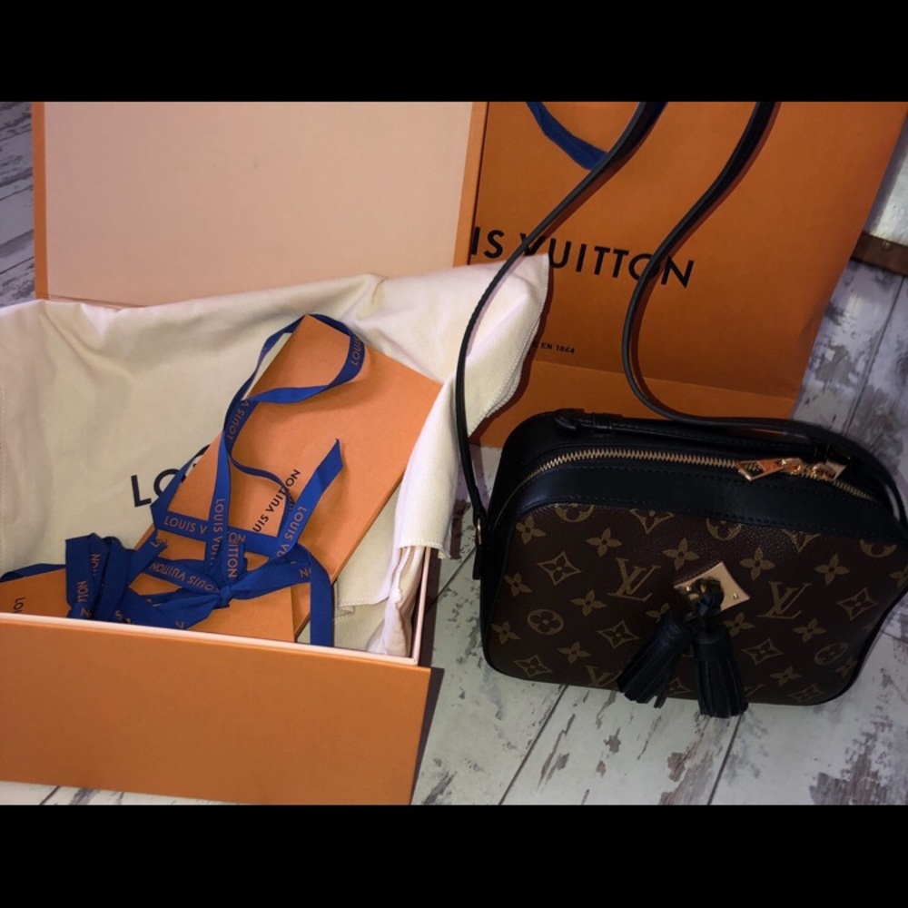 Louis Vuitton Saintouge purse